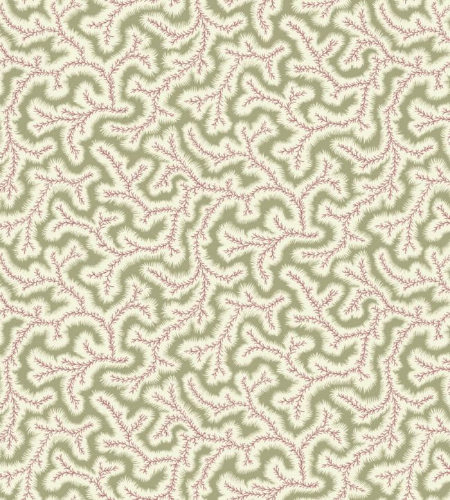 Little Dulcie Wallpaper by Ian Sanderson Sweet Pea