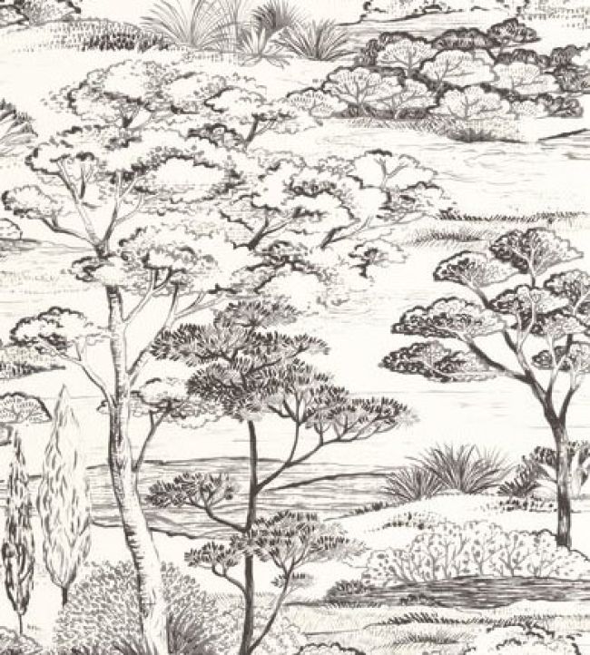 Littoral Wallpaper by Casadeco Noir Fusain