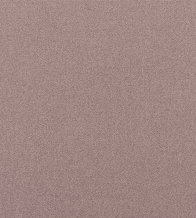Loden Fabric by Designers Guild Cameo