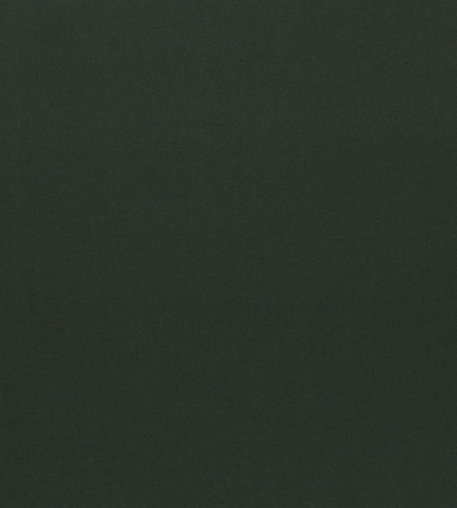 Loden Fabric by Designers Guild Fir