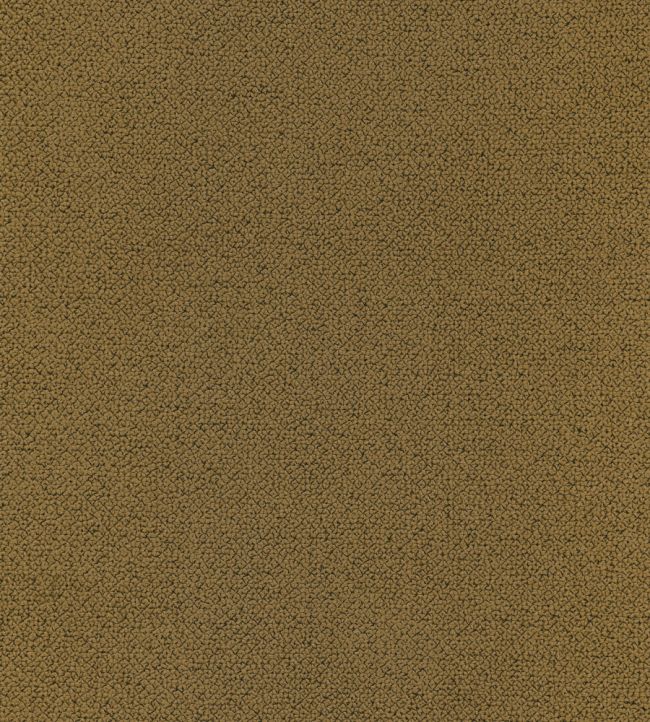 Loggia Fabric by Lizzo Amber