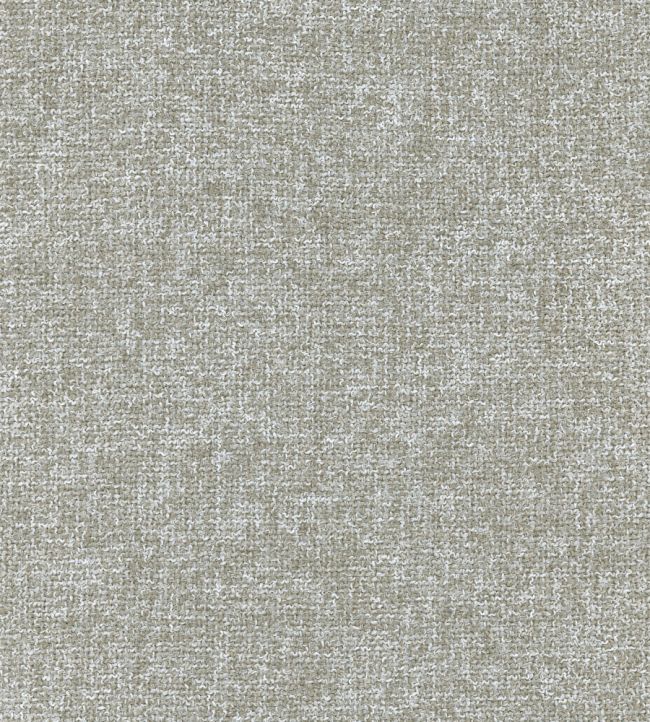 Loggia Fabric by Lizzo Fog