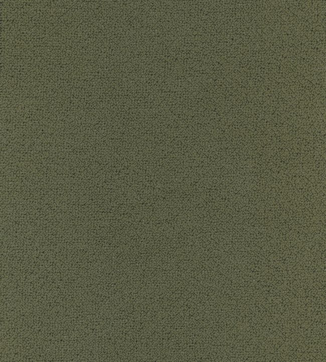 Loggia Fabric by Lizzo Forest