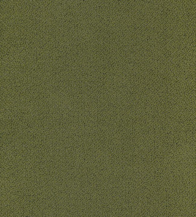 Loggia Fabric by Lizzo Moss