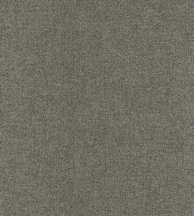 Loggia Fabric by Lizzo Mushroom