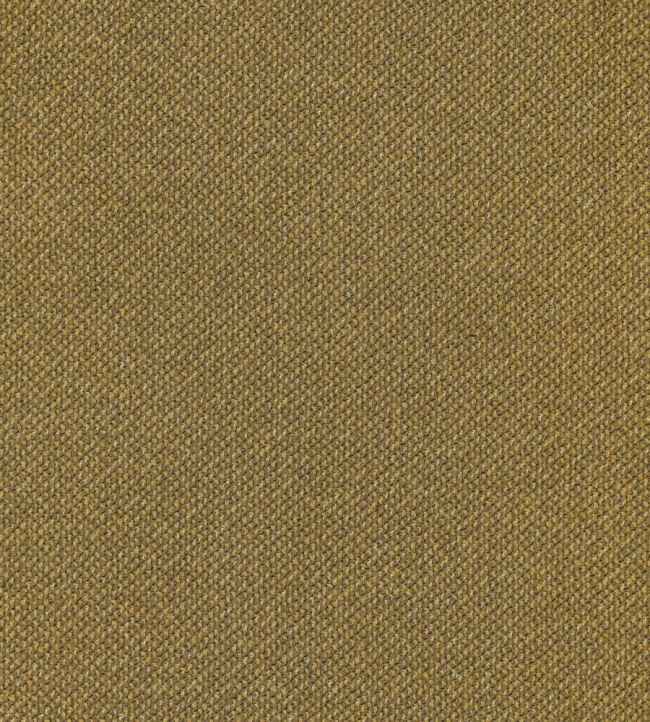 Loggia Fabric by Lizzo Mustard