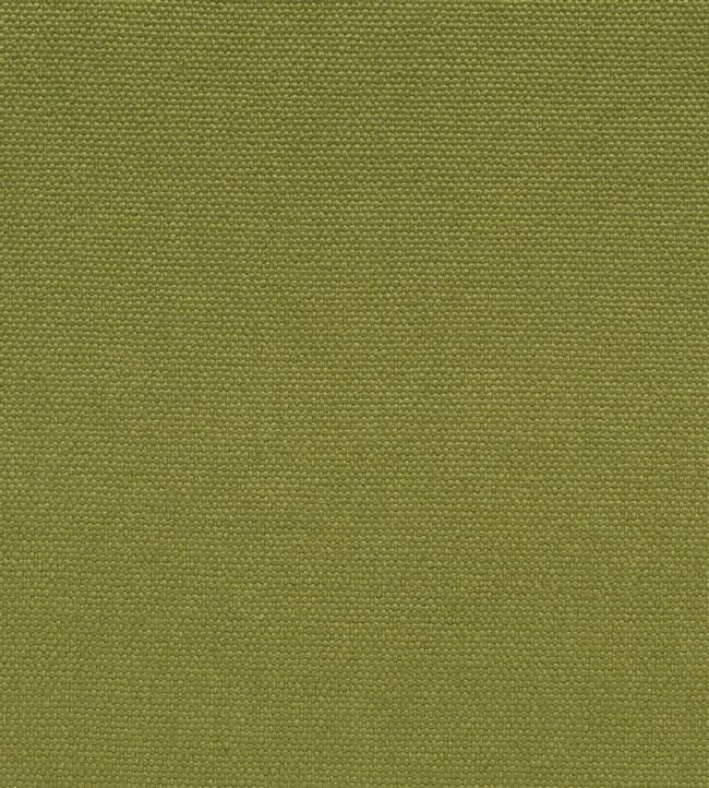 Loiret Fabric by Designers Guild Grass