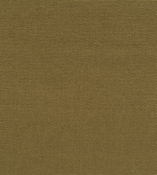 Loiret Fabric by Designers Guild Olive
