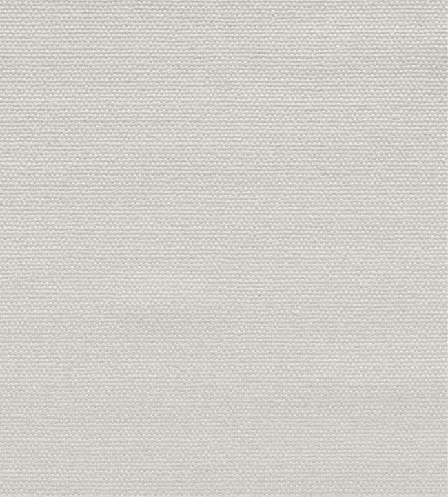 Loiret Fabric by Designers Guild Parchment