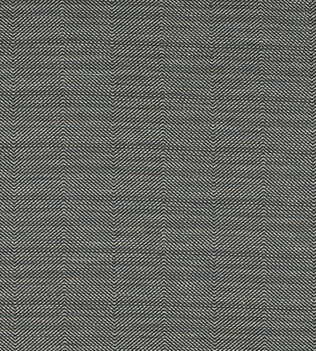 Loki Fabric by Clarke & Clarke Charcoal