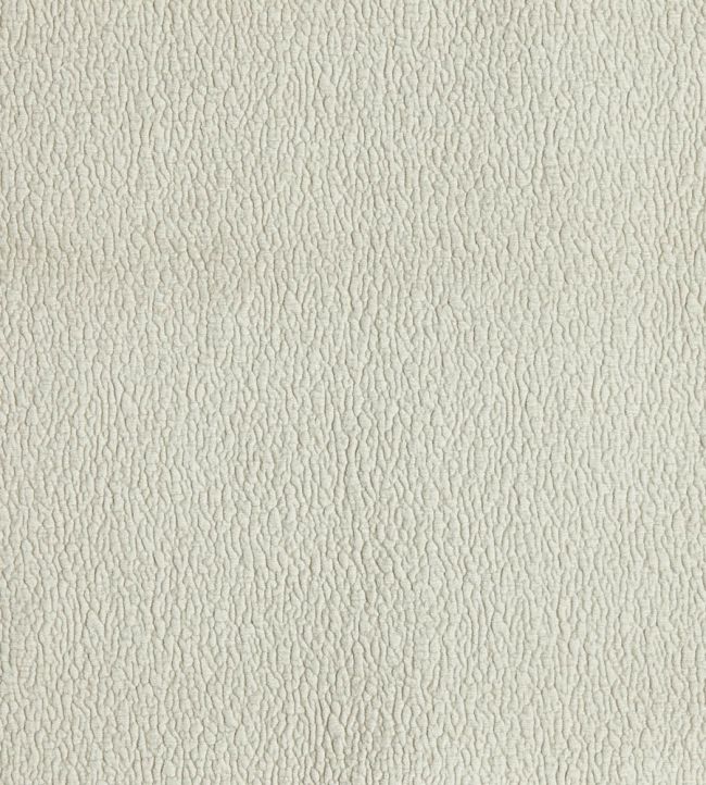 Loki Fabric by Prestigious Textiles Pearl