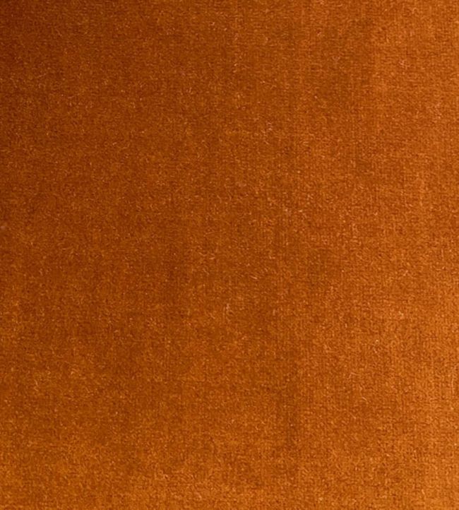 Lord Velvet Fabric by Ian Sanderson Amber