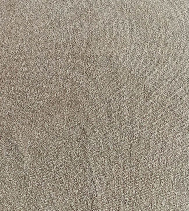 Lord Velvet Fabric by Ian Sanderson Smoke