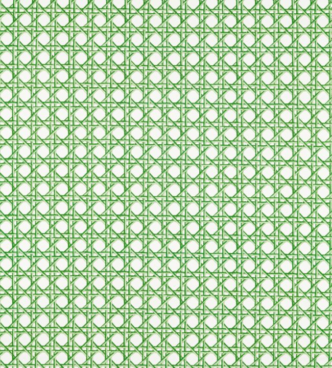 Lovelace Fabric by Harlequin Apple / Paper Lantern