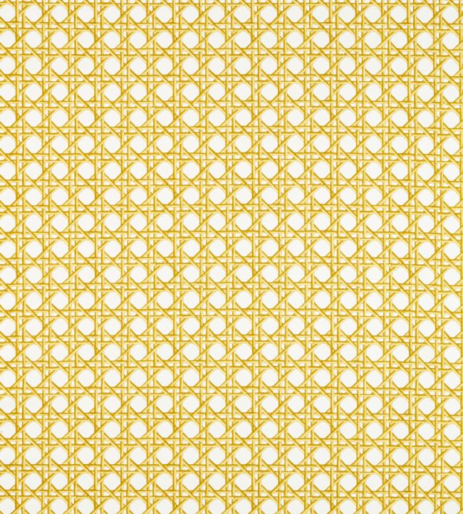Lovelace Fabric by Harlequin Honey / Paper Lantern