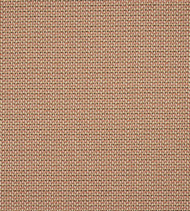 Lucena Fabric by Colefax and Fowler Tomato