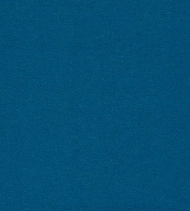 Lugo Outdoor Fabric by Clarke & Clarke Cobalt