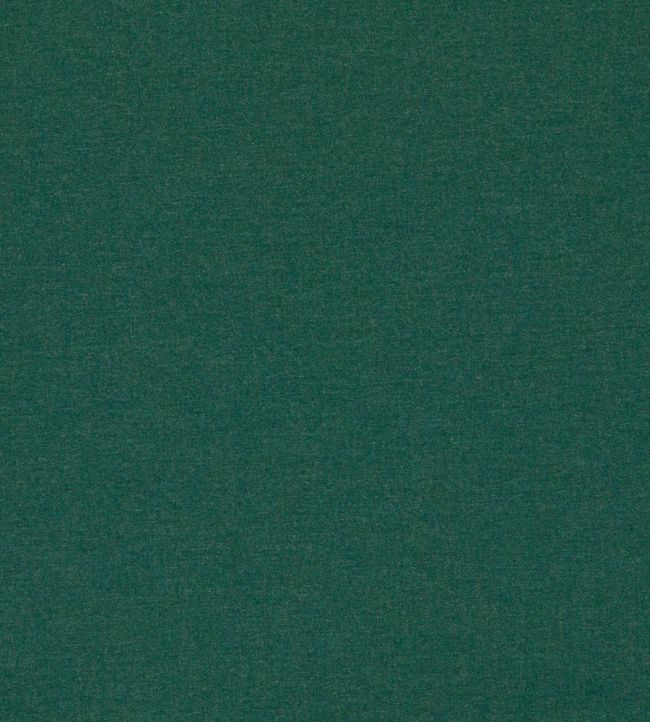 Lugo Outdoor Fabric by Clarke & Clarke Forest