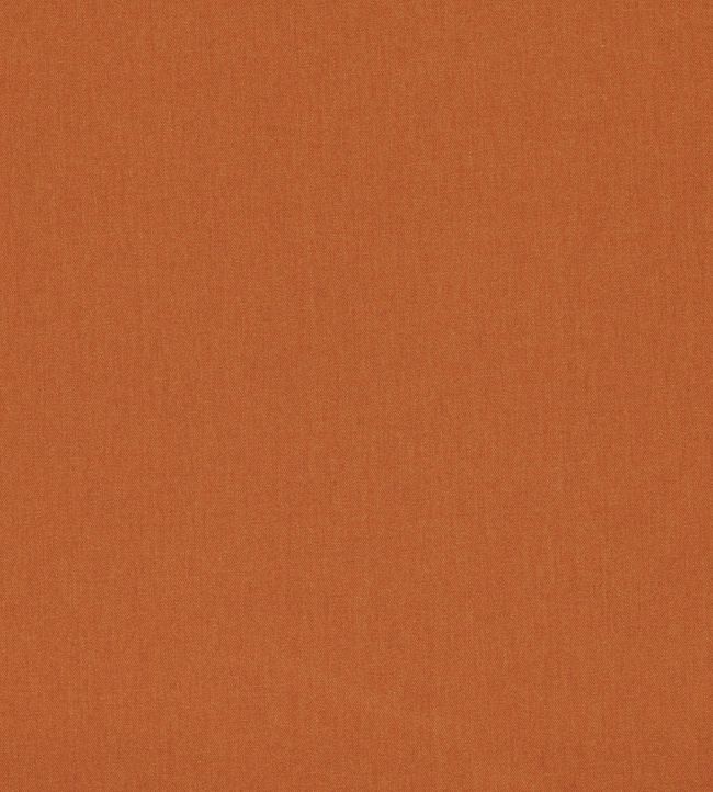 Lugo Outdoor Fabric by Clarke & Clarke Spice