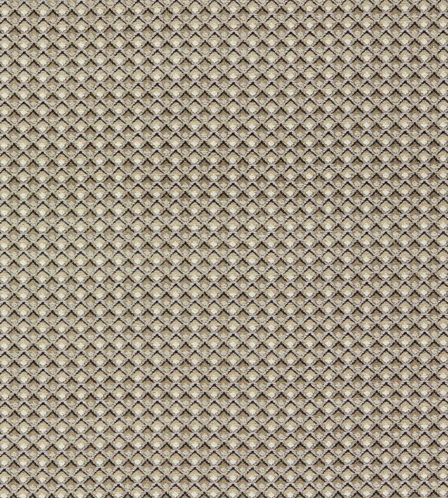 Lyra Fabric by Clarke & Clarke Natural