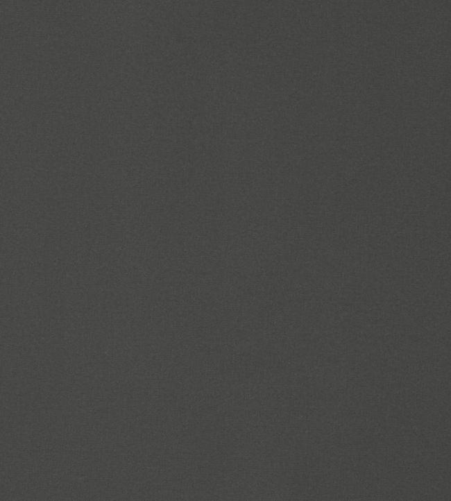 Lyra Velvet Fabric by Thibaut Charcoal