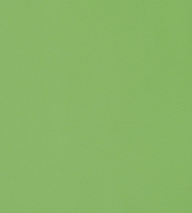 Lyra Velvet Fabric by Thibaut Grass