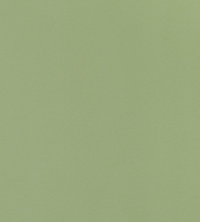 Lyra Velvet Fabric by Thibaut Moss