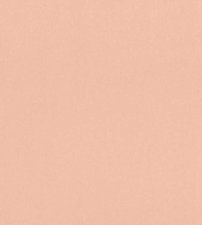 Lyra Velvet Fabric by Thibaut Petal