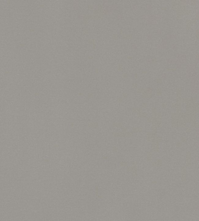Lyra Velvet Fabric by Thibaut Smoke