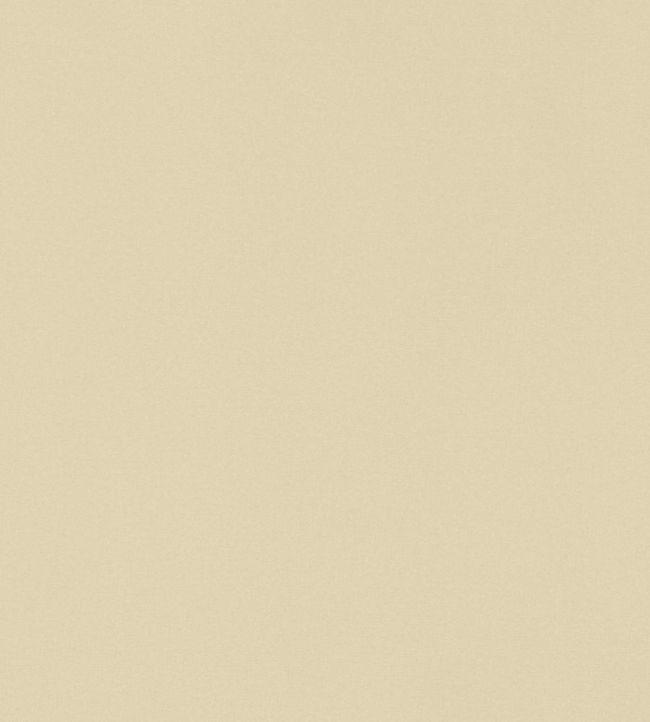 Lyra Velvet Fabric by Thibaut Suede