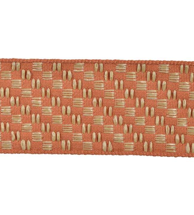 Macao Raphia Braid 60mm Trimming by Houles Corail