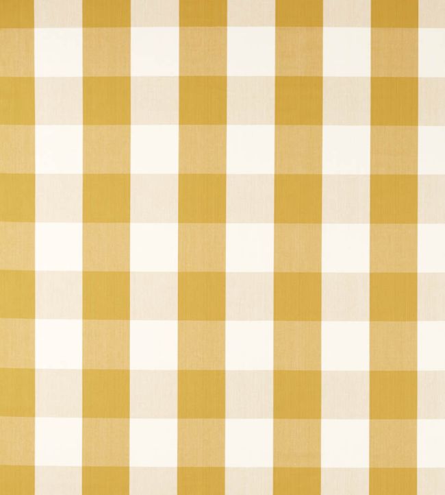 Madras Check Fabric by Sanderson Golden Knot