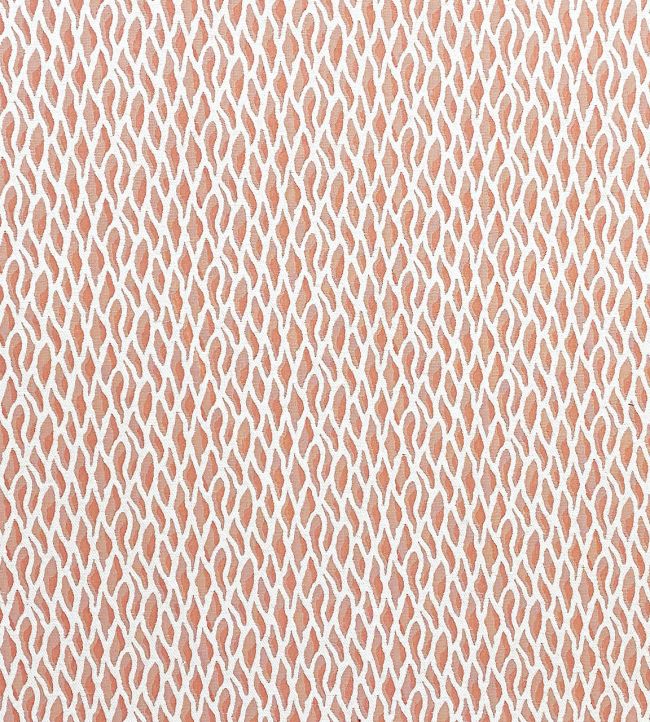 Magma Fabric by Casal Blush