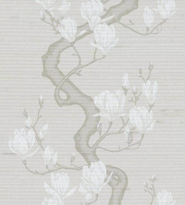 Magnolia Tree - Raw Slub Silk Wallpaper by Cole & Son Soft Cream & Powder