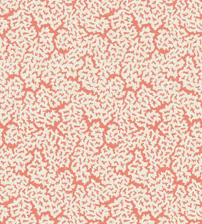Maldives Wallpaper by Thibaut Coral