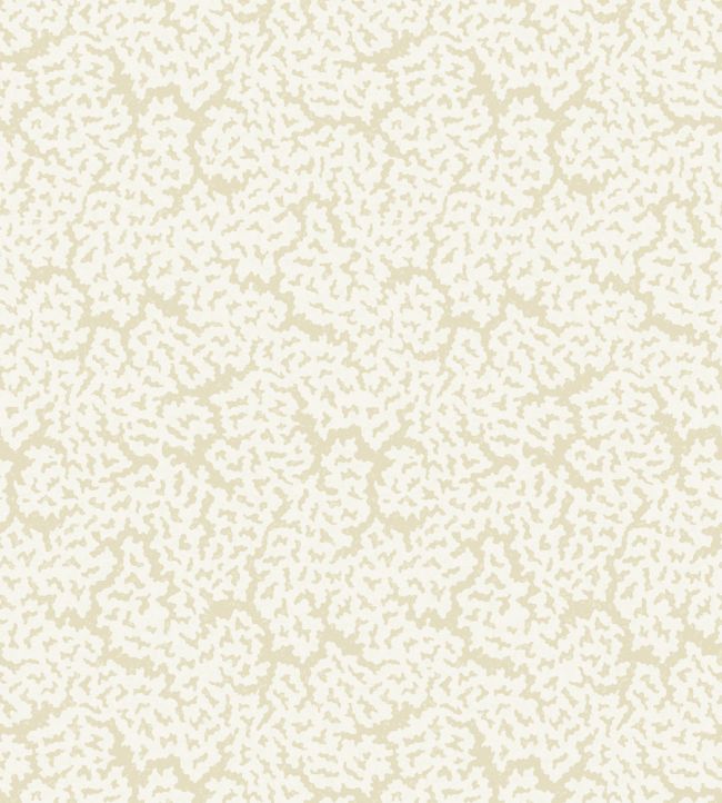 Maldives Wallpaper by Thibaut Cream
