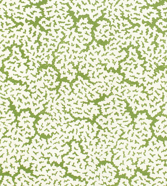 Maldives Fabric by Thibaut Green