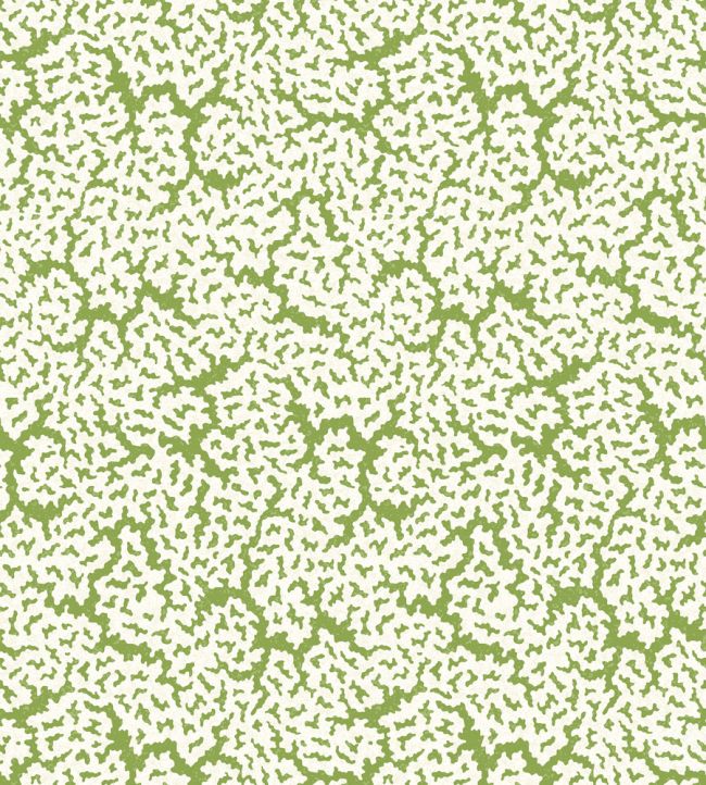 Maldives Wallpaper by Thibaut Green
