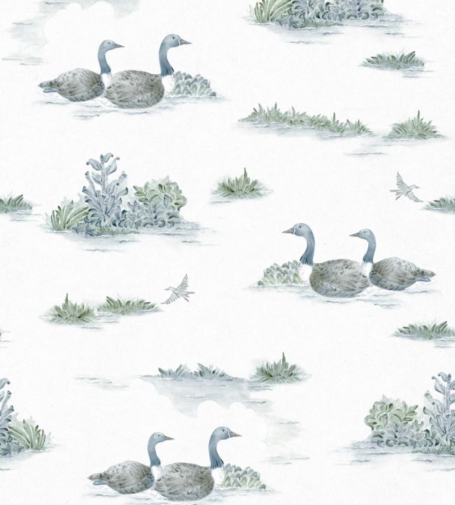 Mallard Duck Wallpaper by Coordonne Aqua