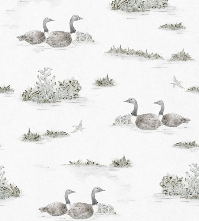 Mallard Duck Wallpaper by Coordonne Silver