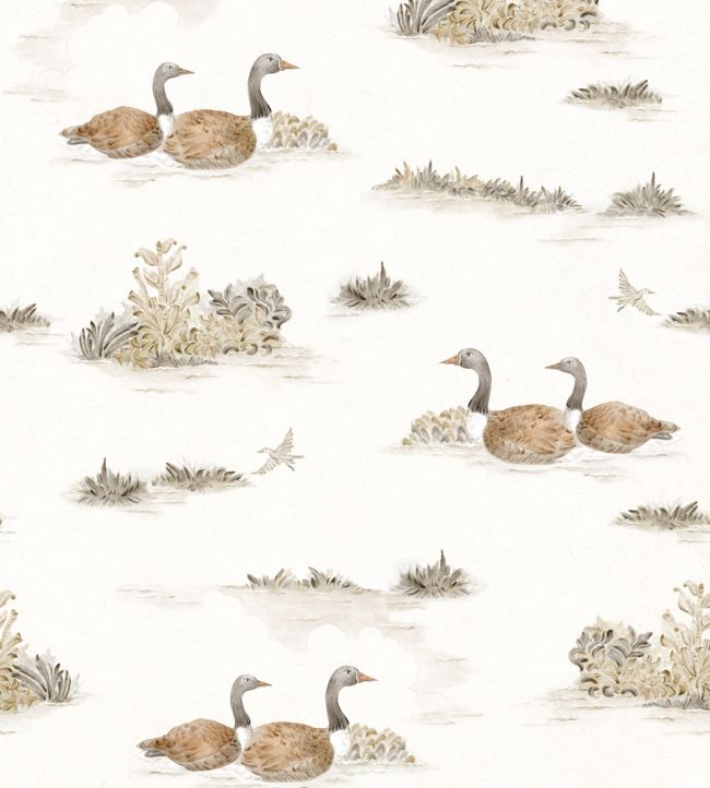 Mallard Duck Wallpaper by Coordonne Sunny