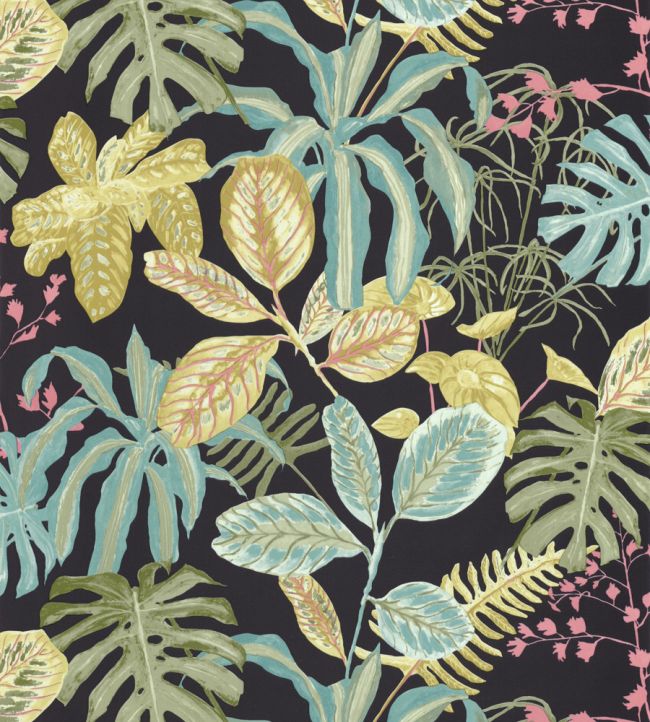 Manaus Wallpaper by Caselio Noir Multico