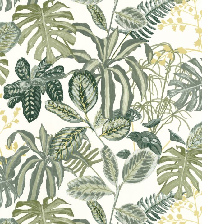 Manaus Wallpaper by Caselio Vert Mousse