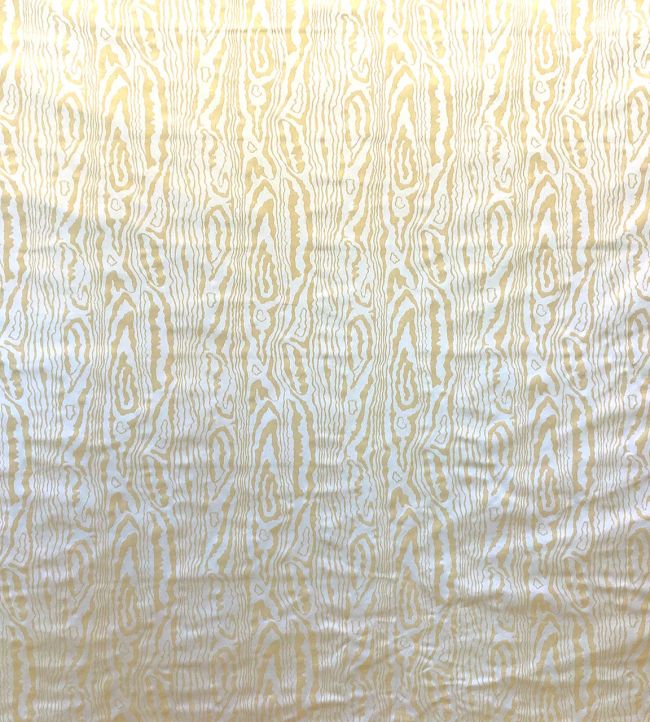 Mancini Fabric by Casal Champagne