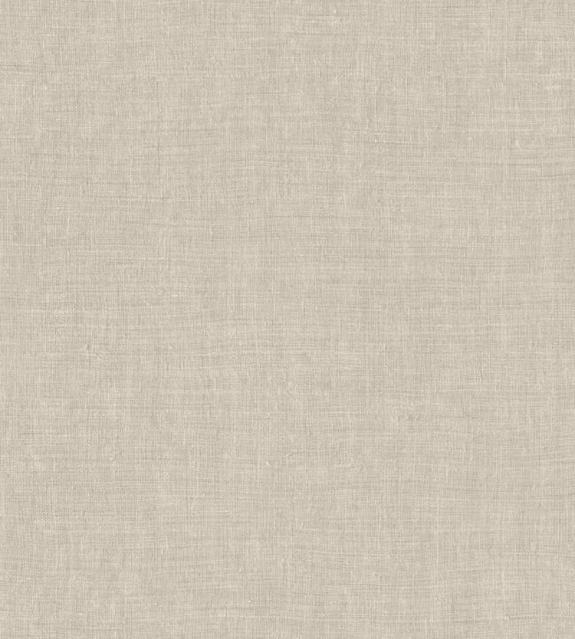 Mandu Wallpaper by Arte Salt