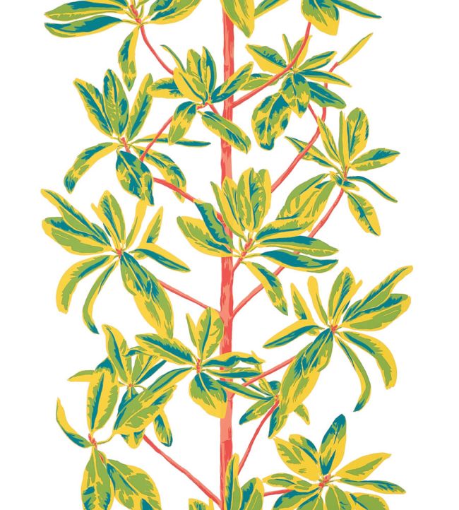 Mangrove Tree Wallpaper by Thibaut Coral