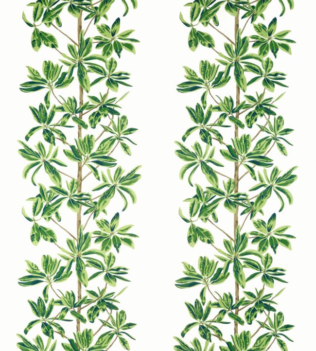 Mangrove Tree Fabric by Thibaut Green and White