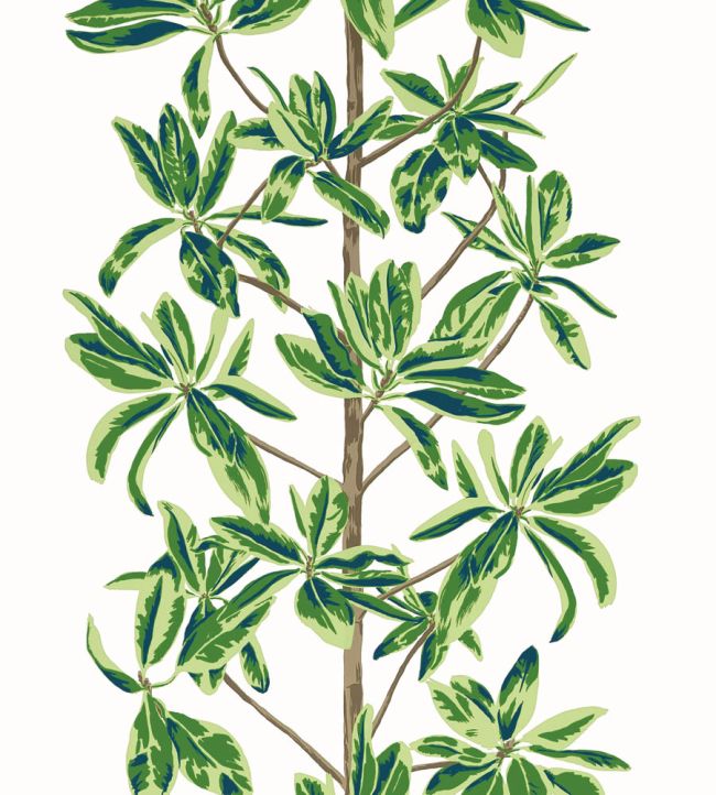 Mangrove Tree Wallpaper by Thibaut Green and White