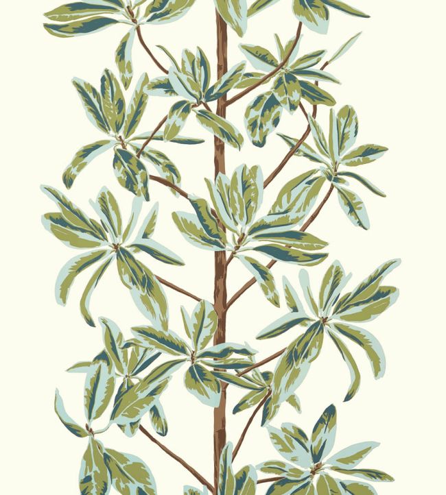 Mangrove Tree Wallpaper by Thibaut Sage