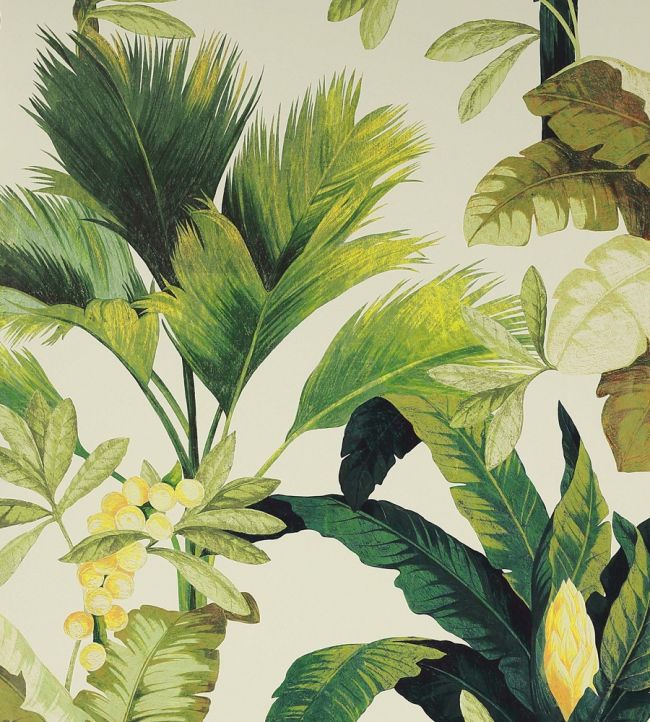 Salengro Wallpaper by Manuel Canovas Kaki